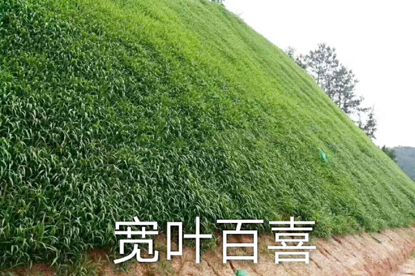 四川被动防护网施工方案-泽驰金属丝网