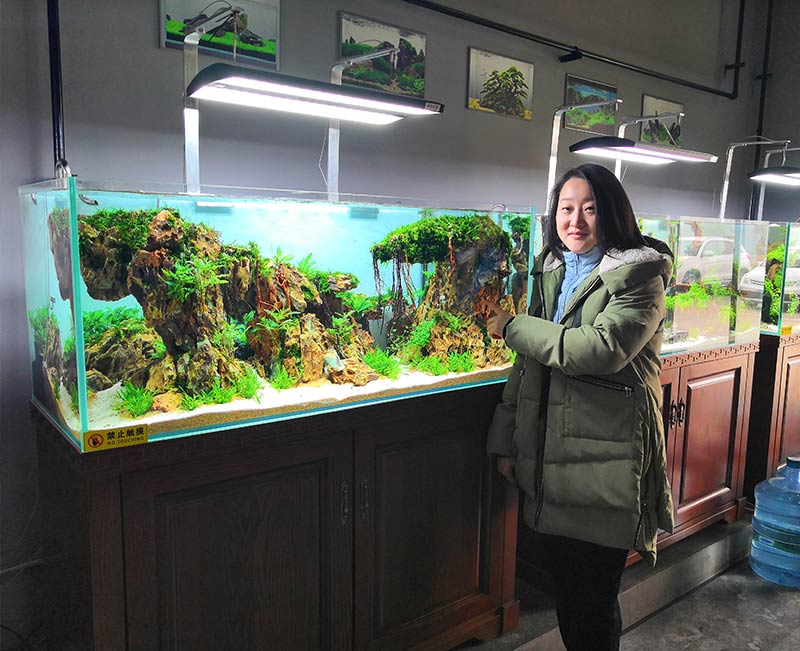 山东经典生态鱼缸造景方法-本色水景