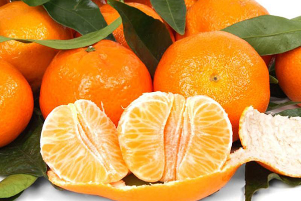 湖南热销沃柑果苗