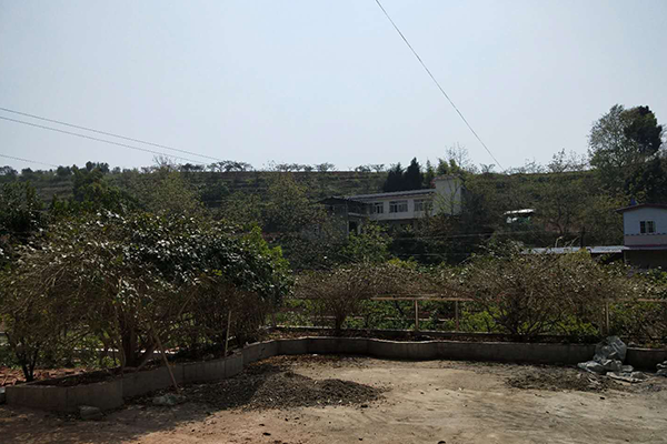 贾家镇附近游玩预定
