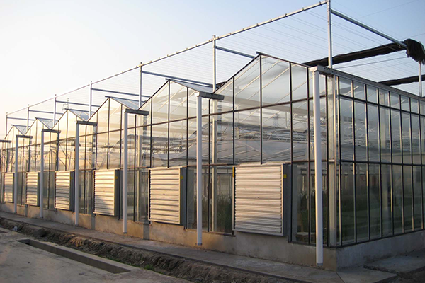 丽水负压风机牌子