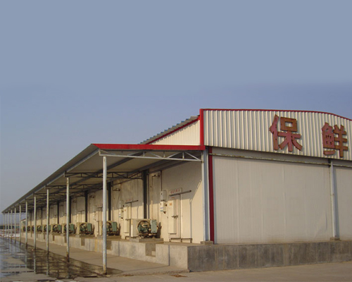 冷库排名_冷库内部照片(2)