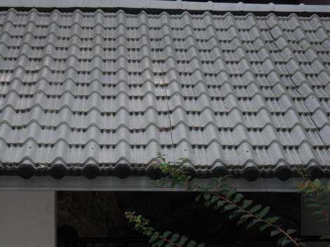d24f6155b8qxo3bt.jpg