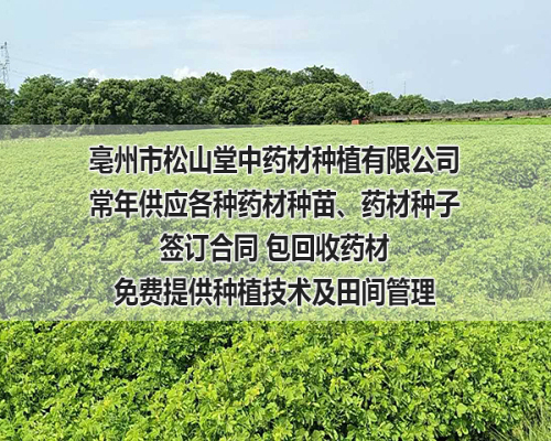 resize,m_fixed,h_400,w_500,limit_0
