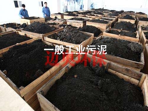 污泥处理运营单位,污泥处理运营单位有哪些