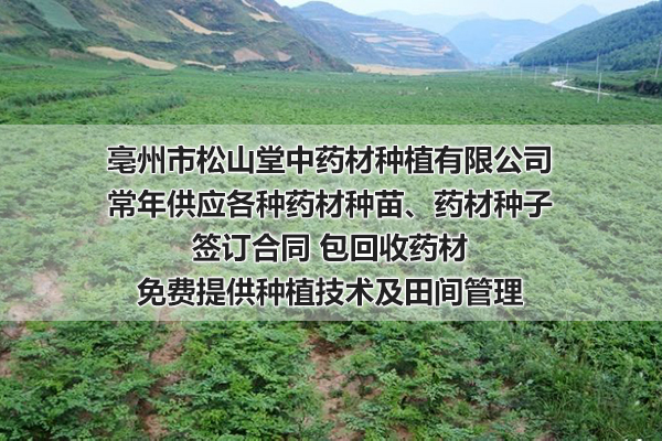 中药材种子亳州市松山堂中药材种植有限公司供应各种药材种子,种苗等