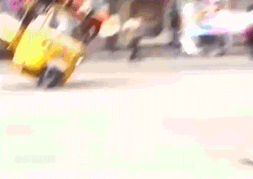 走过路过千万别错过致富之路