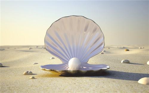 贝壳珍珠猜成语_看图猜成语