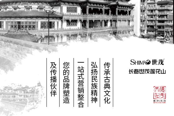 龙井宣传片设计多少钱