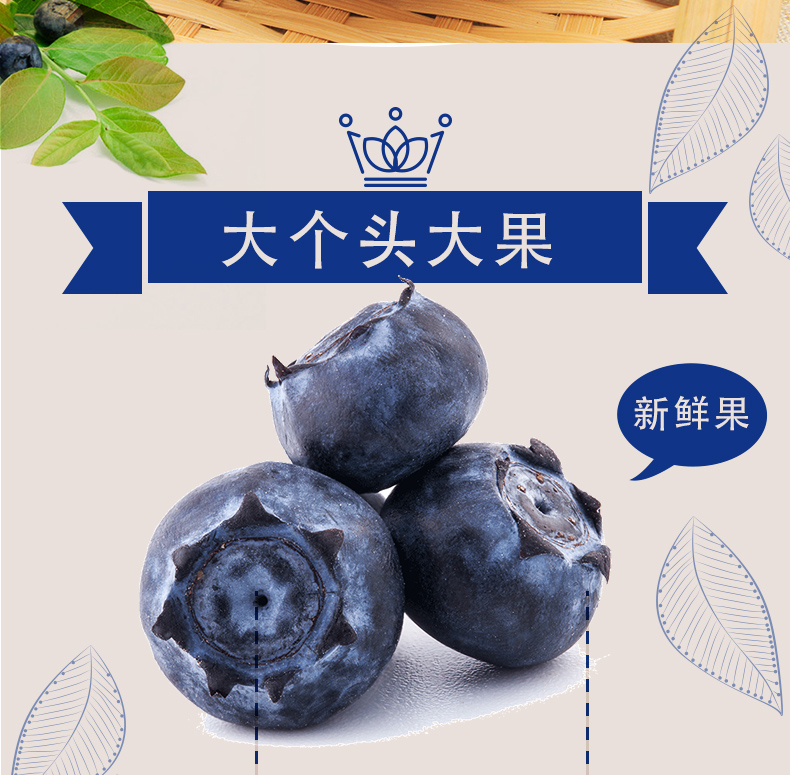嵊州市黑珍珠蓝莓功效