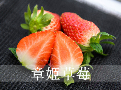 广西好吃的日本草莓哪里好
