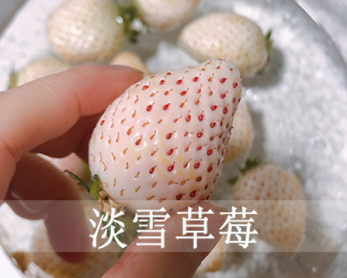 天津好吃的桃熏草莓介绍