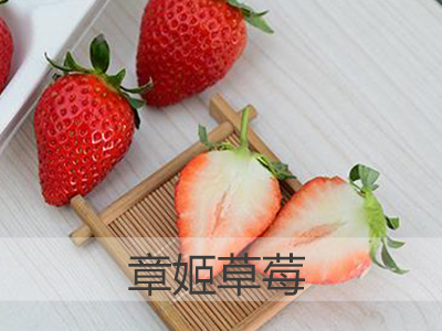 上海正宗无土栽培淡雪草莓介绍