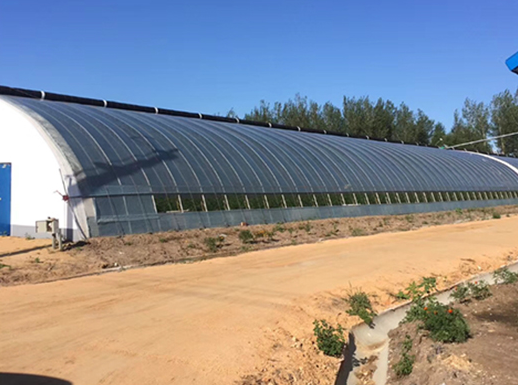 保定钢结构弧形大棚厂房工期钢结构温室大棚工程价格