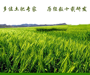 b7062c68fbeh6xfa.jpg