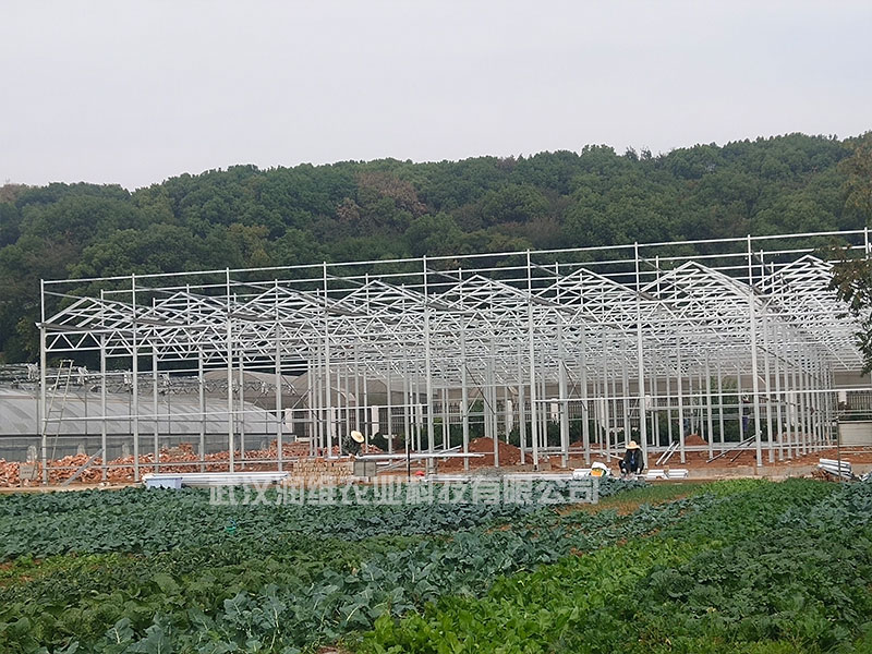 红安蔬菜玻璃温室大棚专业建造厂家,育苗养殖温室大棚建造厂家