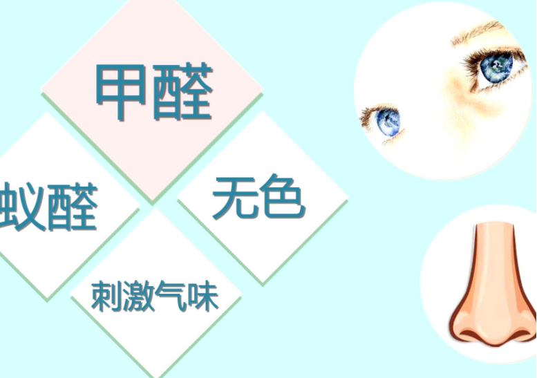 2c513ac8d16nzqhs.png