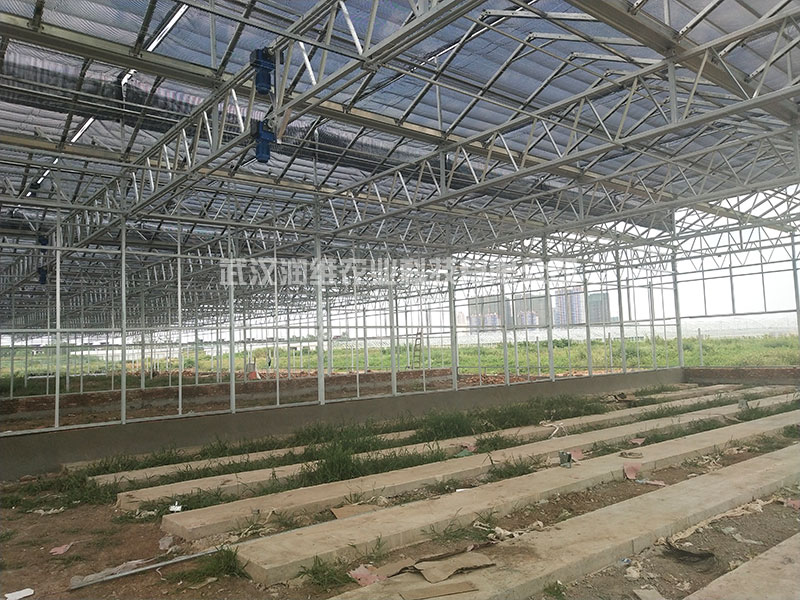 当阳新型温室大棚设计厂家,大棚联系电话