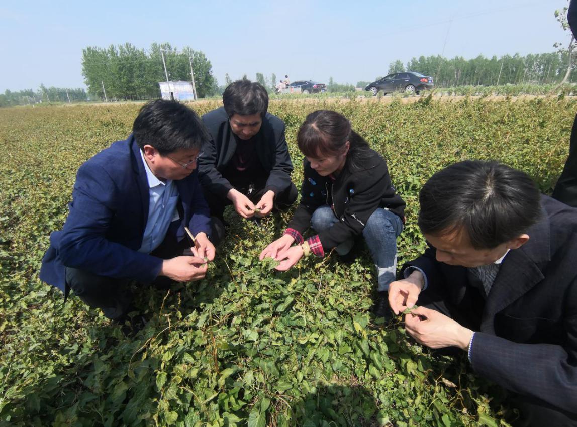 条件的生产企业扩大建立中药材生产质量管理规范(gap)基地并加强管理