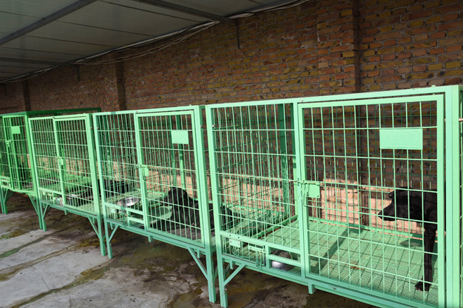 成都批发墨界养殖场