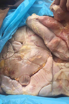 山东新鲜肥牛肉价格