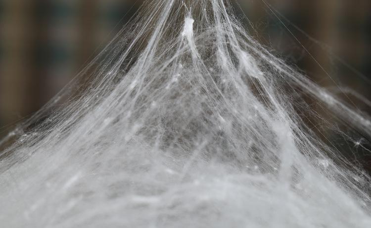 手工蚕丝被价格