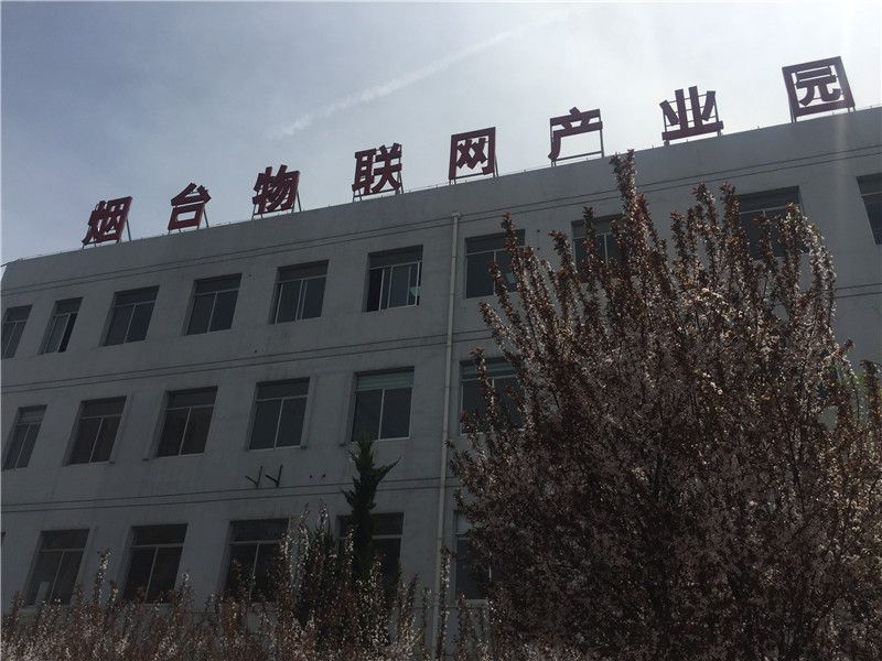 莱阳高端行业平台开发效果好