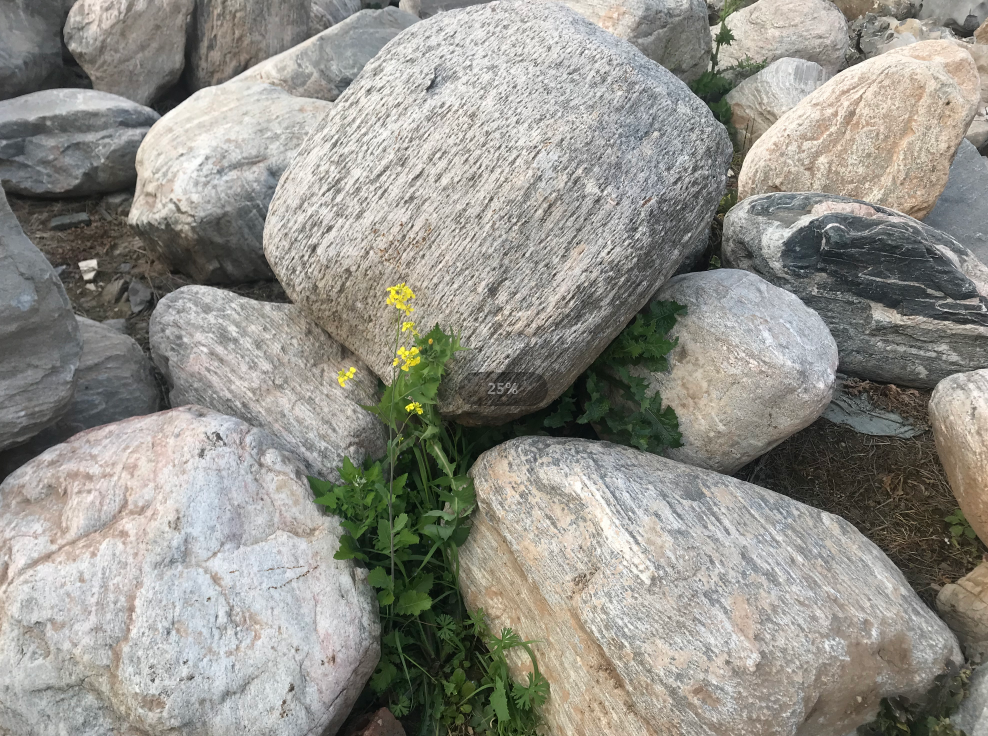 江苏推荐斧劈石好用吗