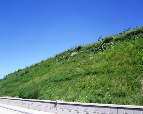 植物纤维毯_荒漠绿化_矿山复垦-天津亚德尔生物质科技股份有限公司