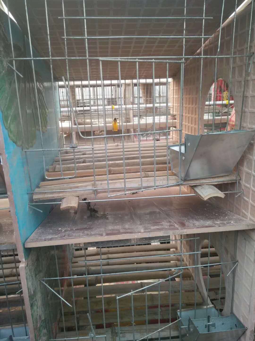 天津瓷砖子母笼报价-绿创养兔设备
