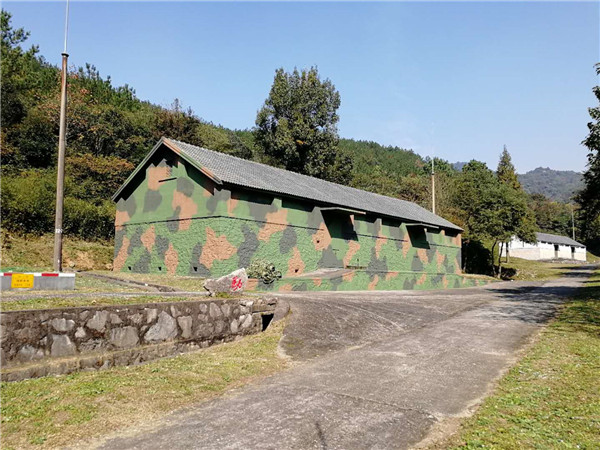 陕西从事大数码迷彩