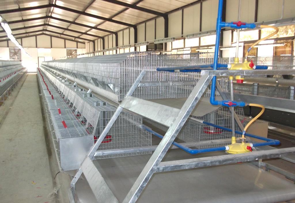 河北新型兔笼养殖设备批发价格-绿创养兔设备