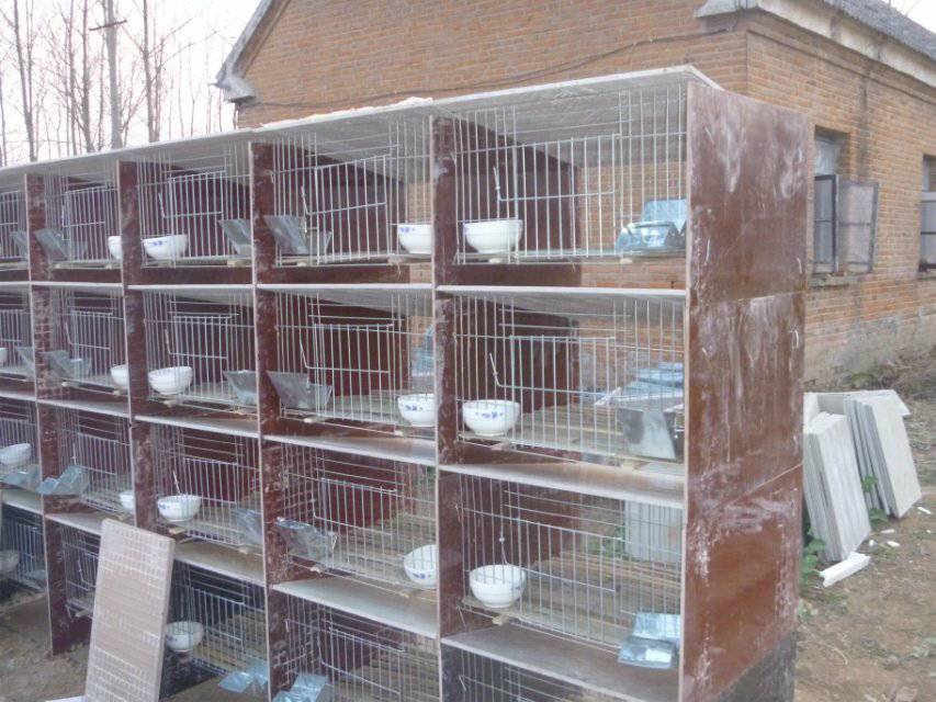 江苏出售兔用饮水管