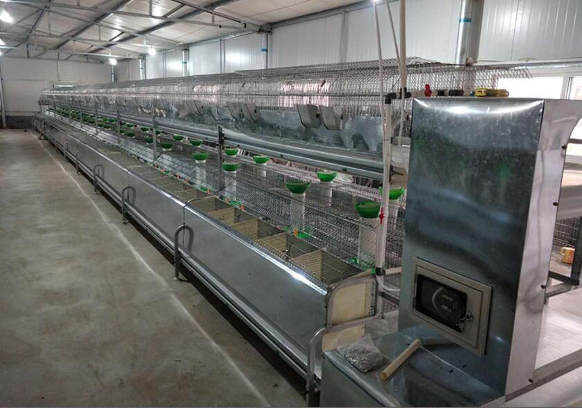 山东求购兔用饮水管哪里有卖-绿创畜牧设备-盐城新闻网