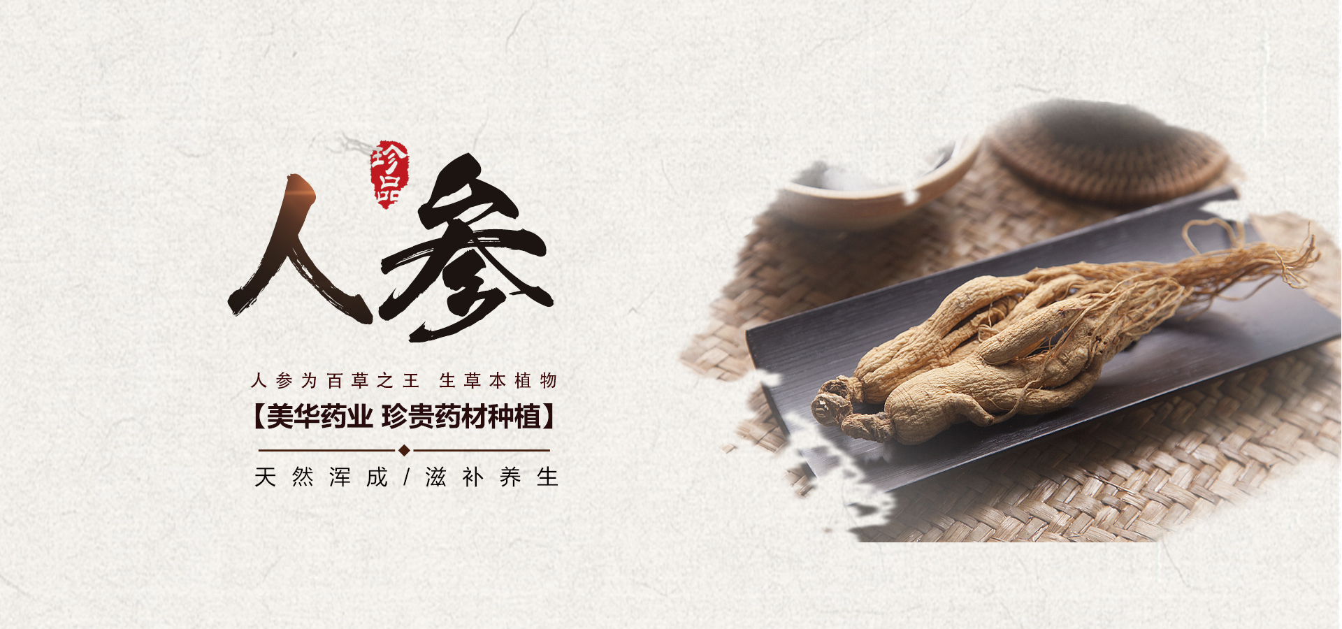 中药材籽药有哪些品种