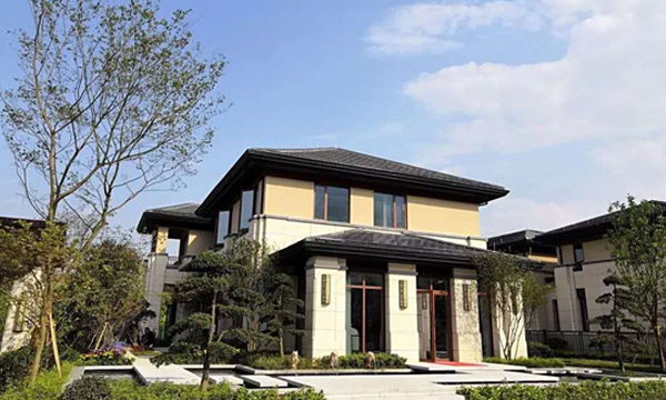 南浔古镇低密度大竹海资源