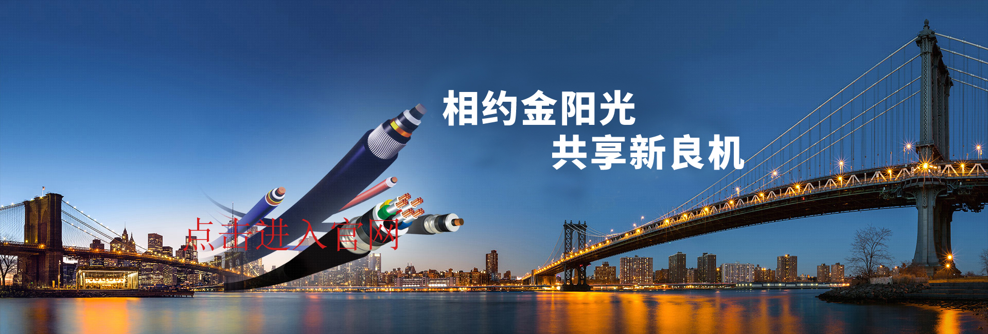 屏蔽电缆_北京定制屏蔽电缆-金阳光电缆-淮安视听网