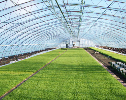 广东智能农业大棚哪家好