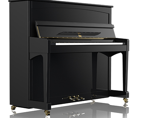 呼和浩特乐器培训_呼和浩特钢琴培训_呼和浩特琴行-内蒙古星辰商贸