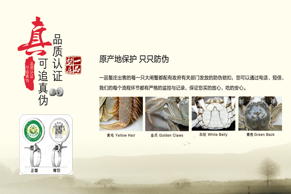 乌兰察布蟹行家的吃法-一品螯庄大闸蟹-中国五金商机网
