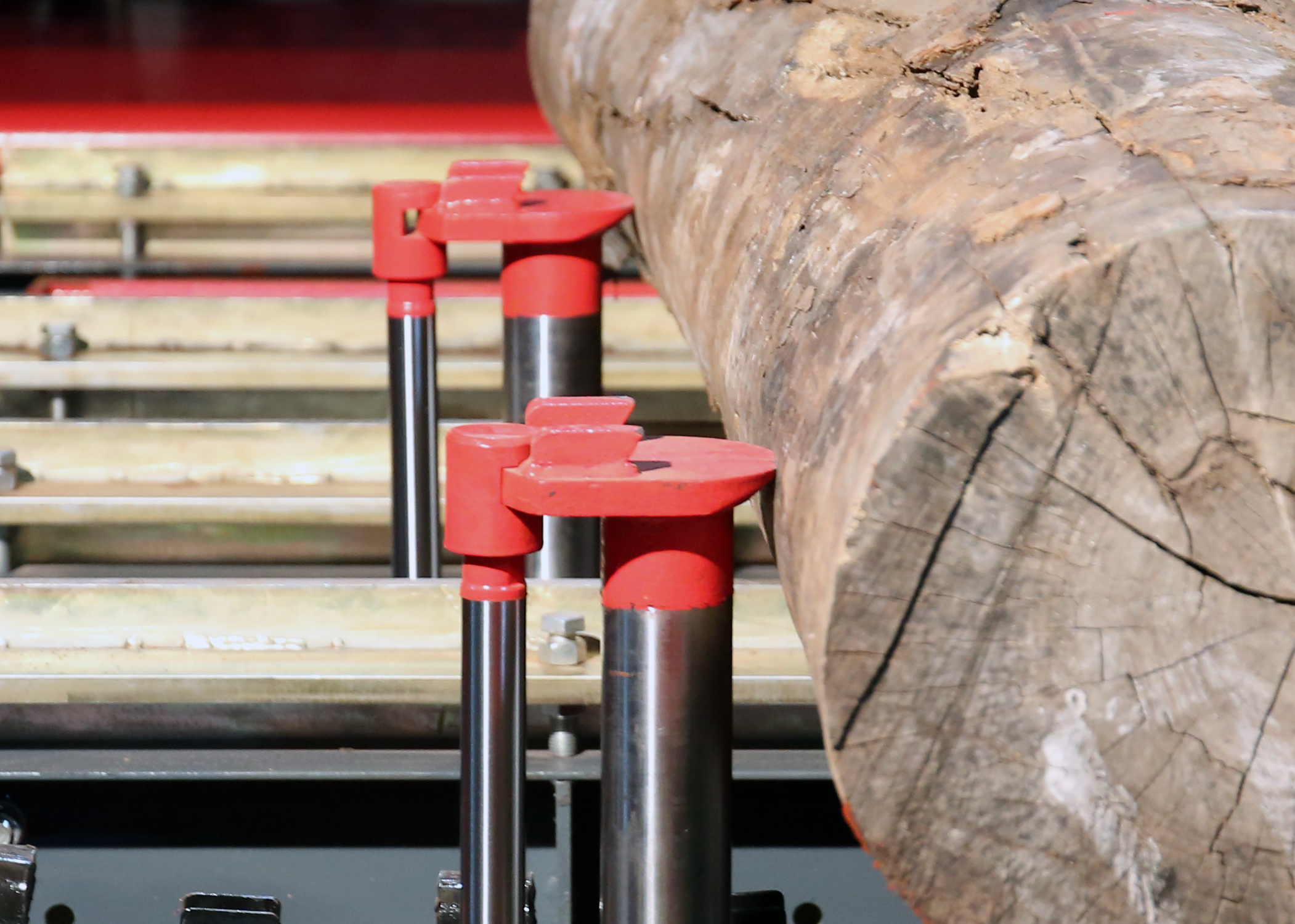 浙江新型杨木锯木机多少钱一台