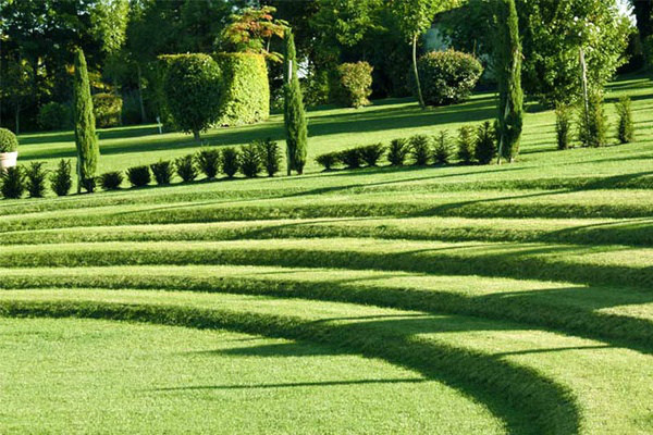 神农架环保绿化草坪施工哪里的好