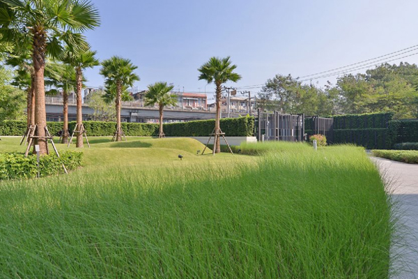 湖北铺设绿化植草价格