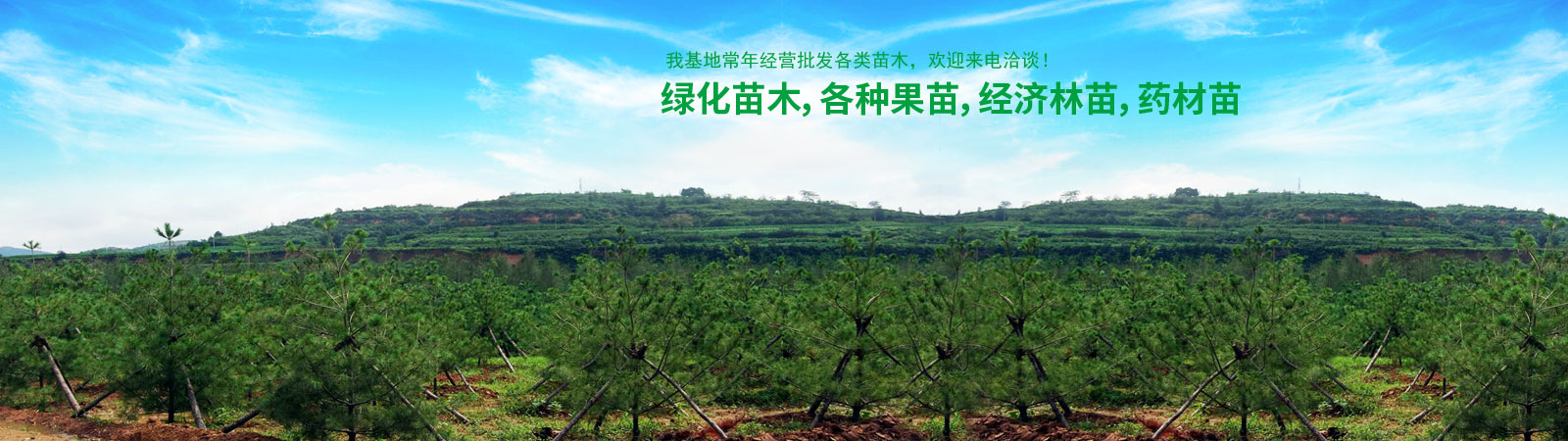 水果树苗哪里买比较好