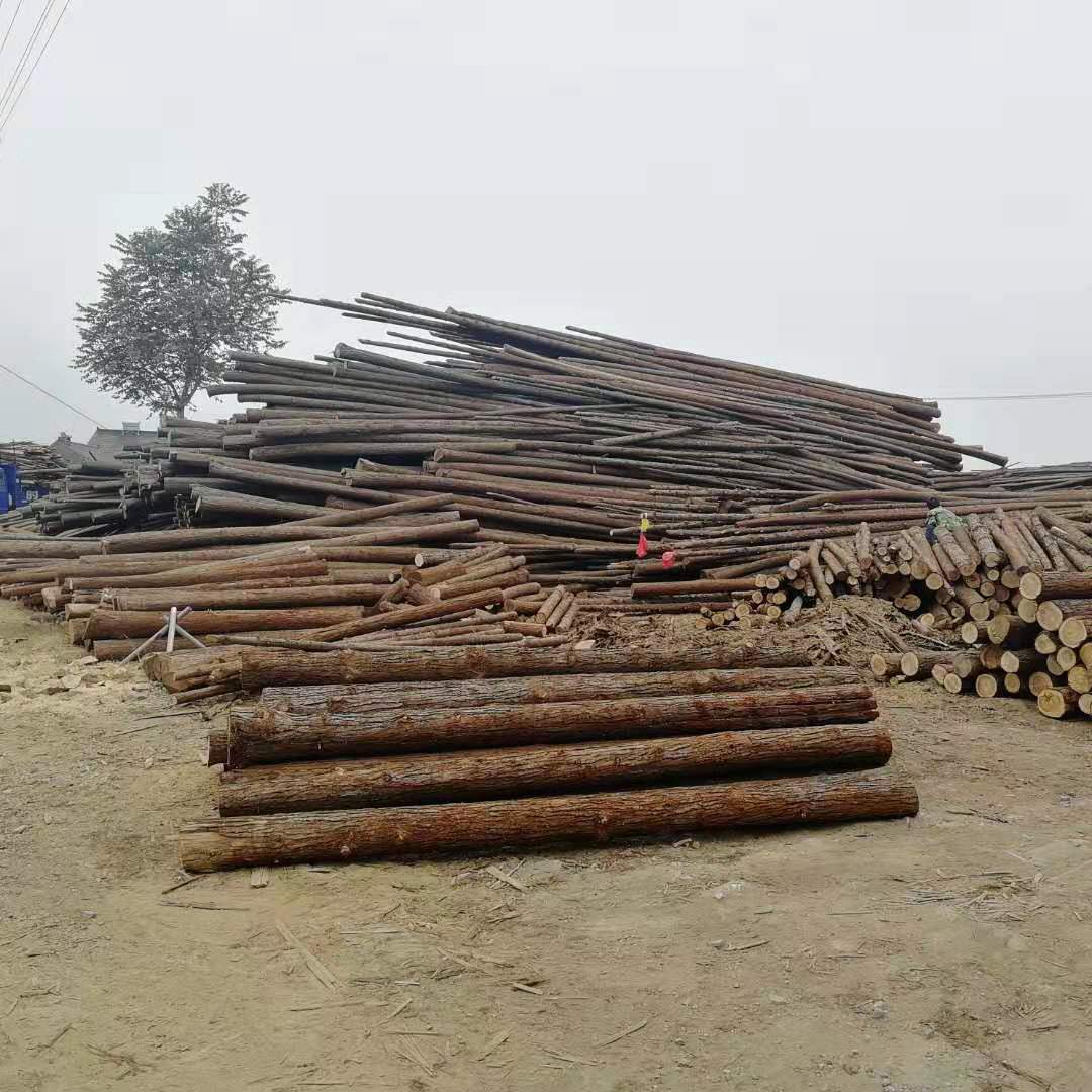 马鞍山护坡削尖杉木定做-新广木材加工厂-河畔网