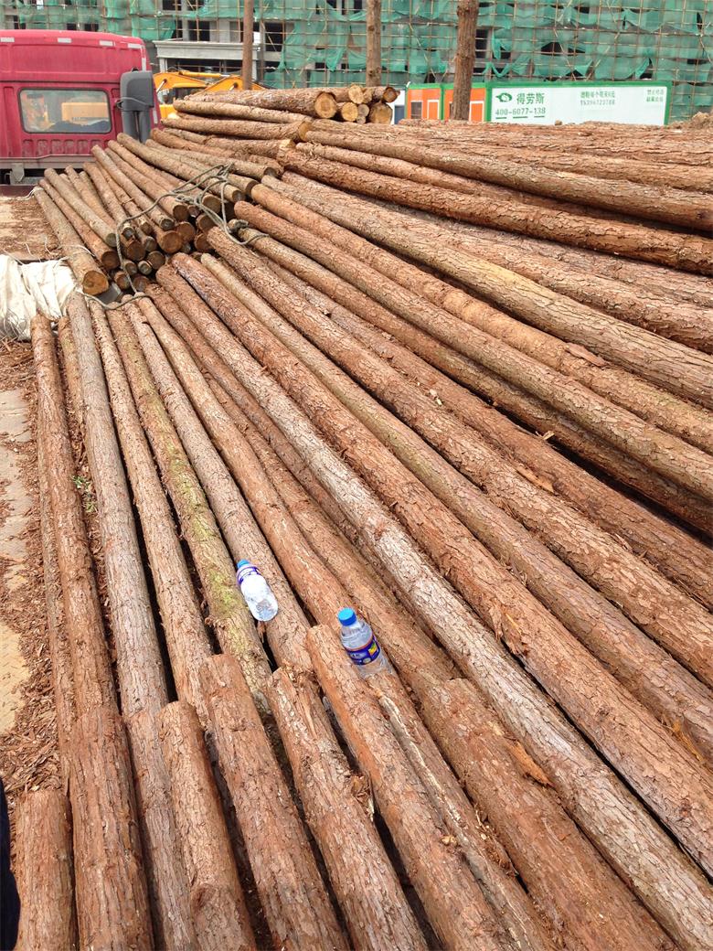 无锡生态杉木木桩生产厂家