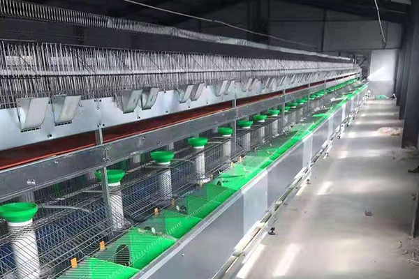 洛阳哪里卖兔笼多少钱