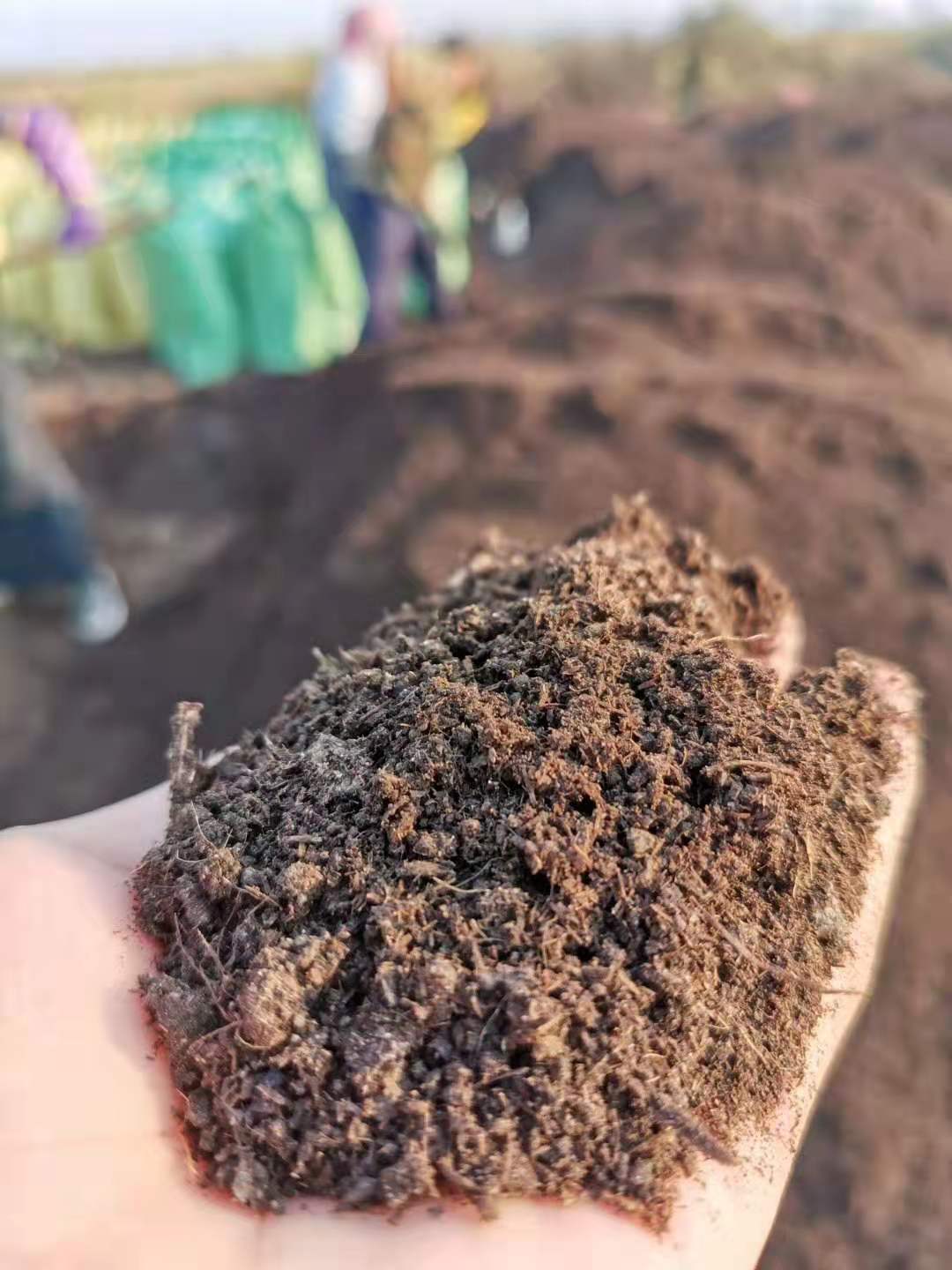 南康幹雞糞生產廠家