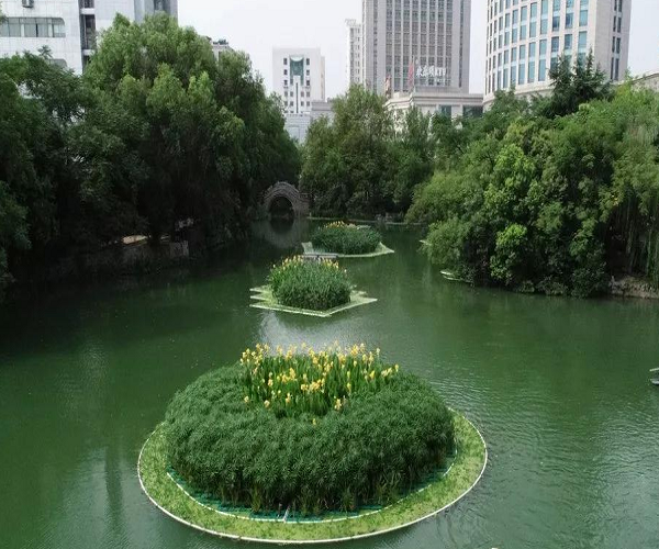 【水景】廊坊水景供应-祥荷润水生植物-中国数字视听网