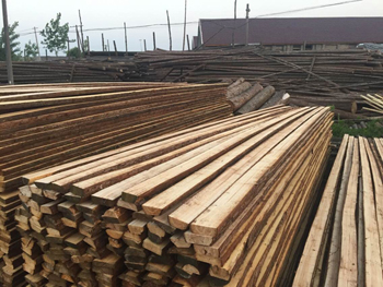 天长护坡杉木桩哪家好-宣城栋梁木业-金泉网